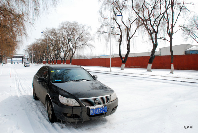拍雪景去也