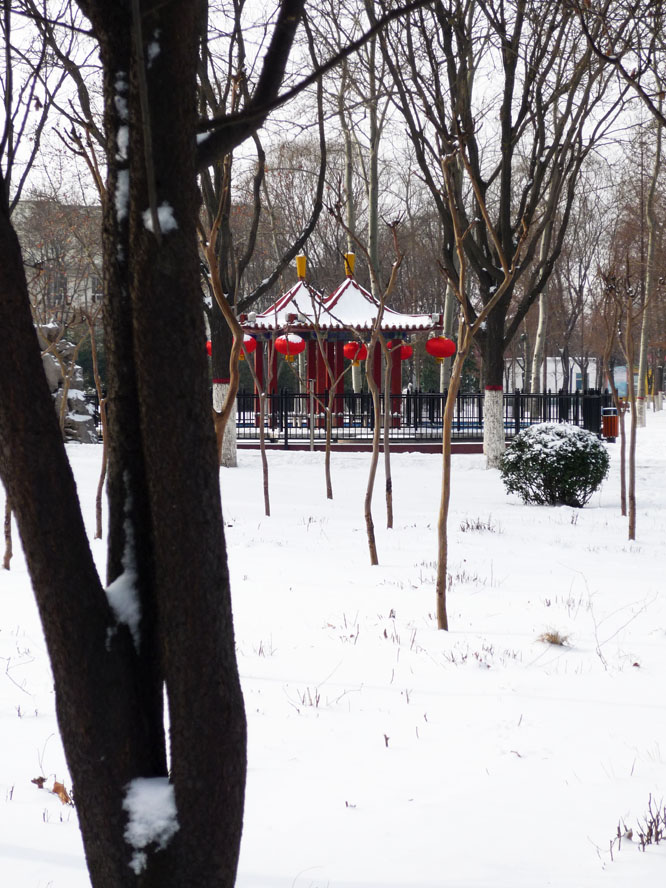 春雪