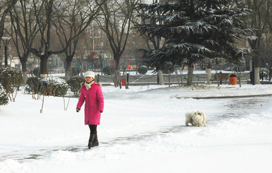 春雪