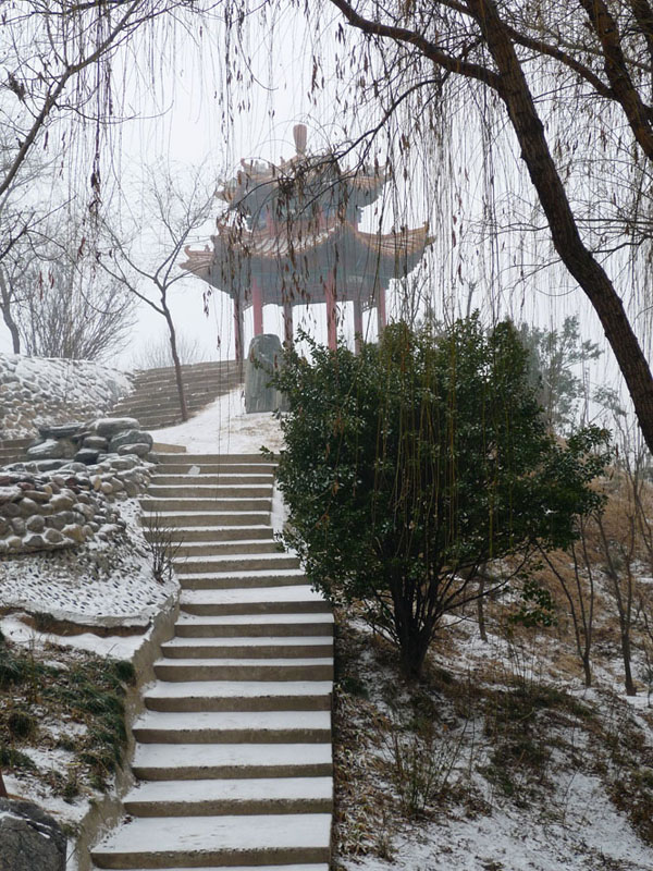 春雪