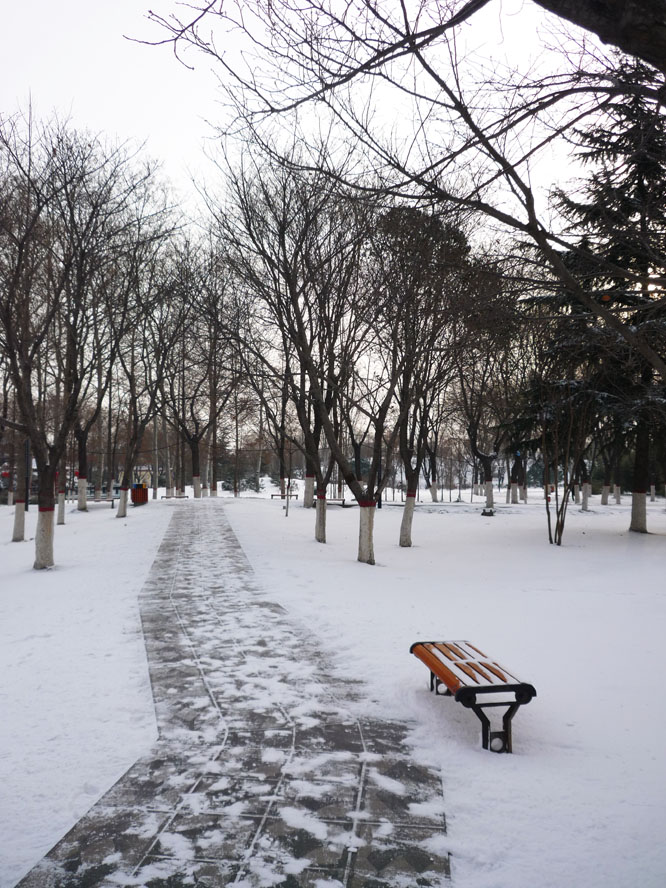 春雪