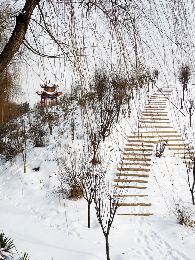 春雪