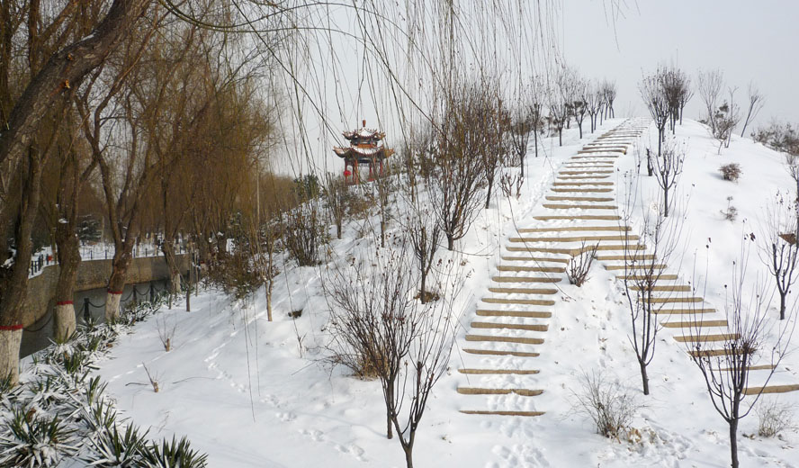 春雪