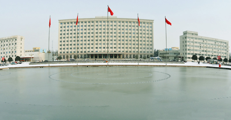 油城飘瑞雪金虎兆丰年
