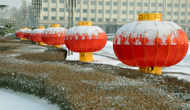 油城飘瑞雪金虎兆丰年