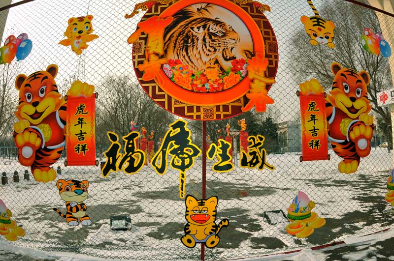 油城飘瑞雪金虎兆丰年
