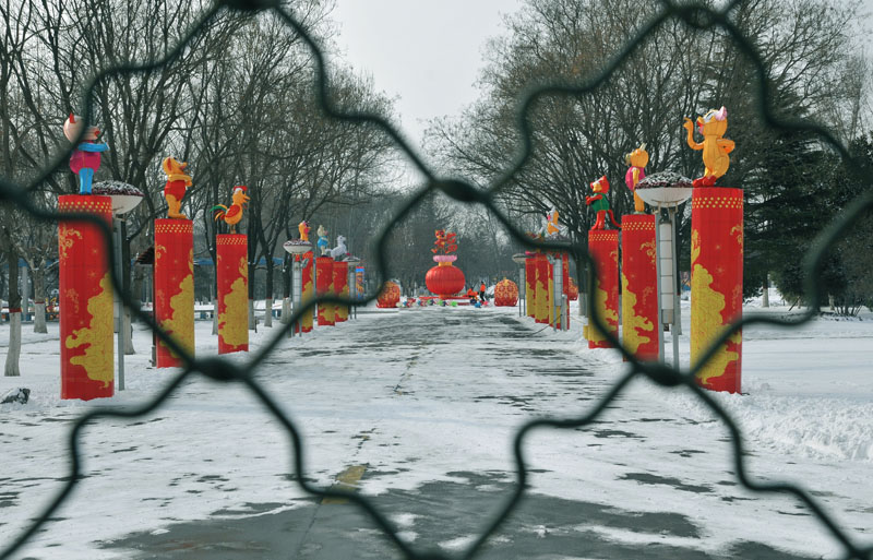 油城飘瑞雪金虎兆丰年