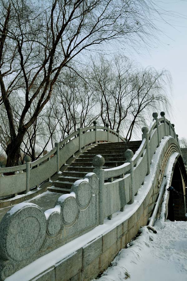 油城飘瑞雪金虎兆丰年