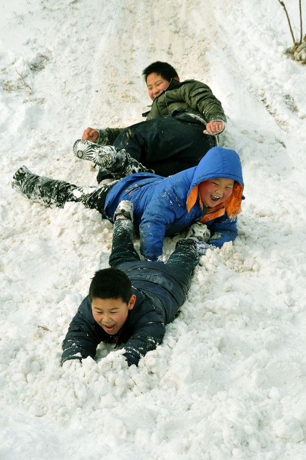 油城飘瑞雪金虎兆丰年