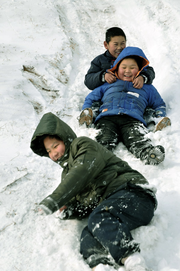 油城飘瑞雪金虎兆丰年