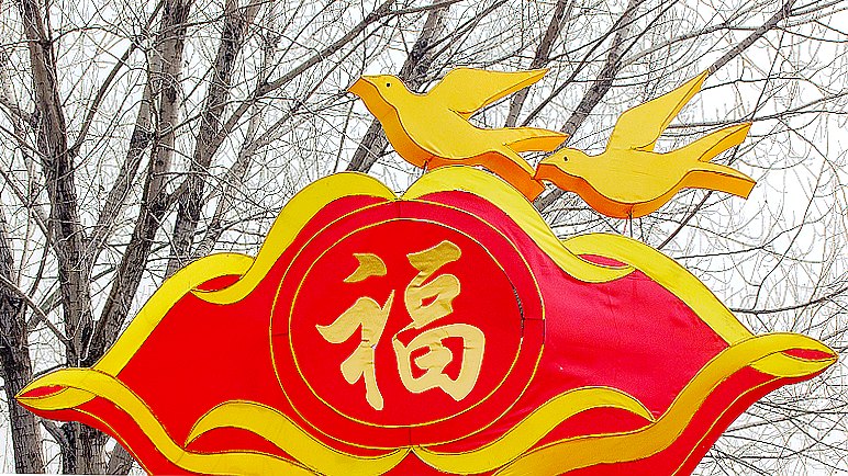 新蕾公园随拍