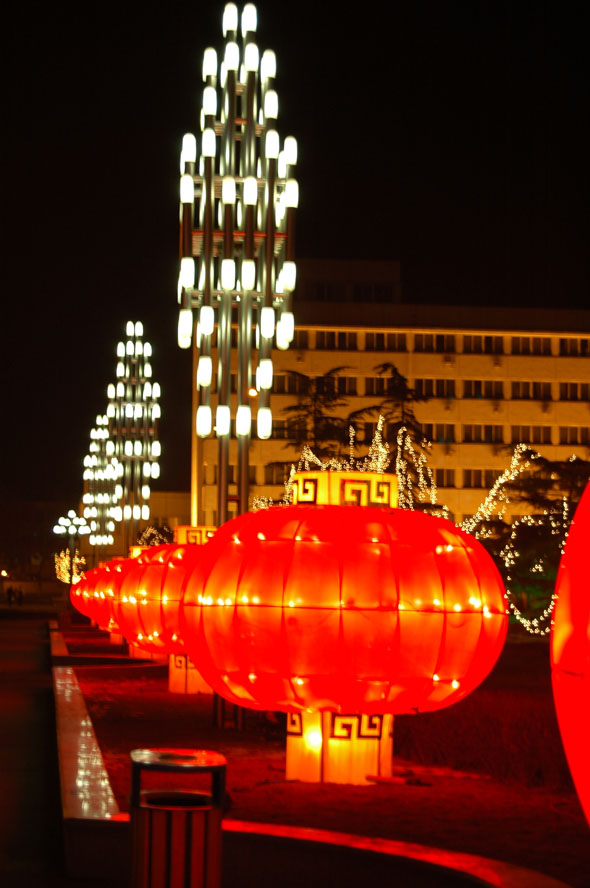 虎年夜色