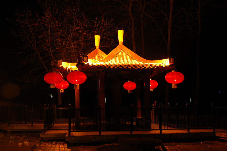 虎年夜色