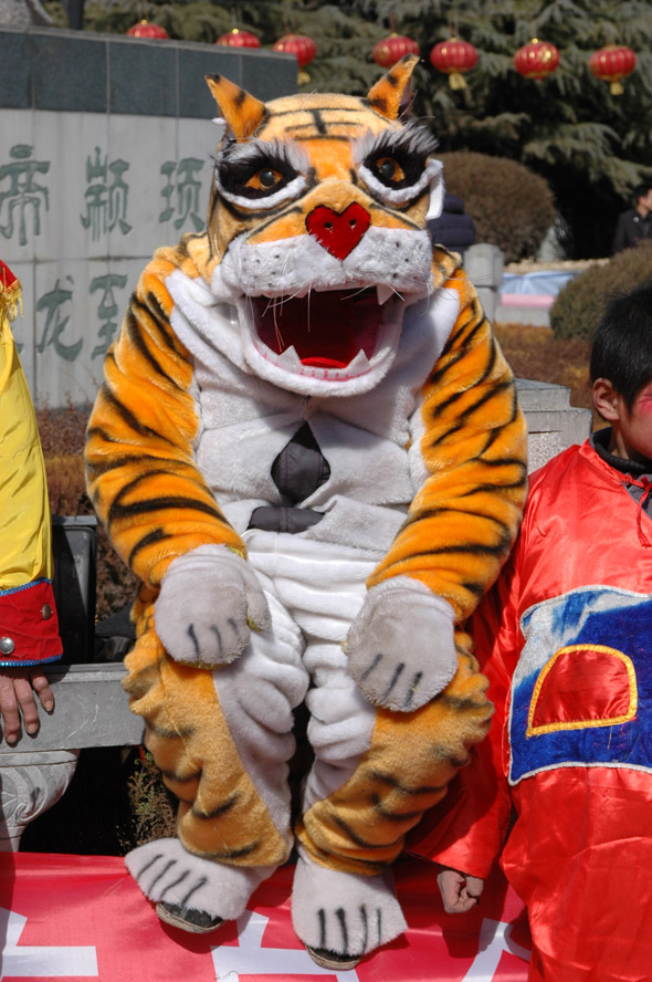 寅虎民俗点滴