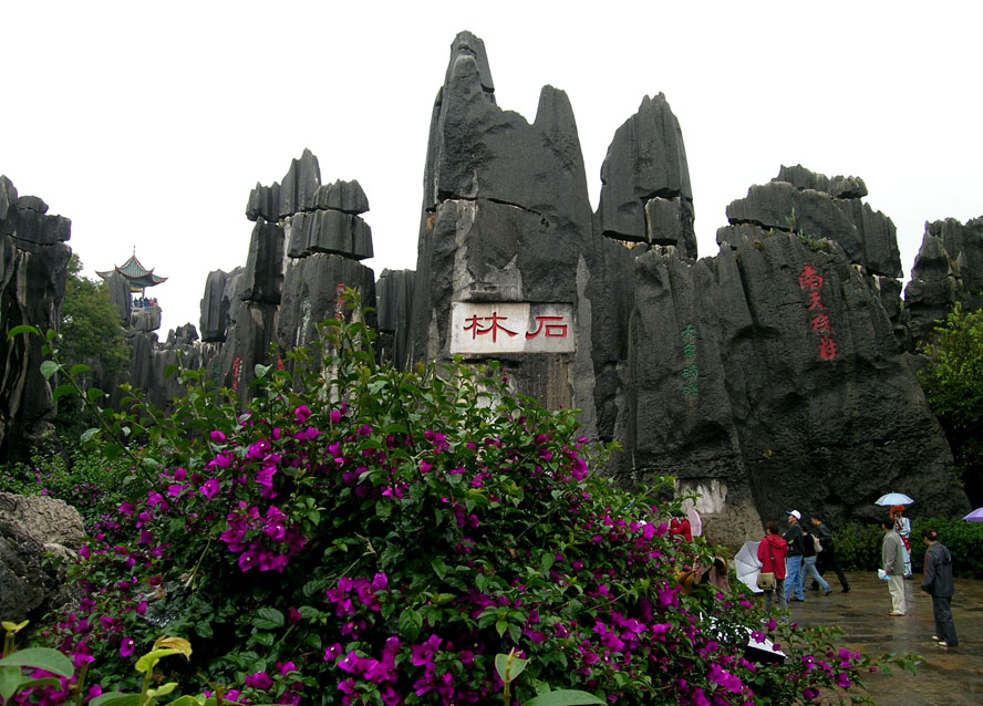 南天胜迹有石林（云南采风之四）