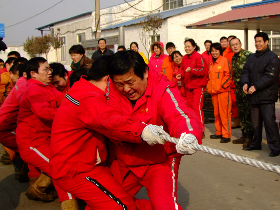 也发一组单位拔河比赛实拍