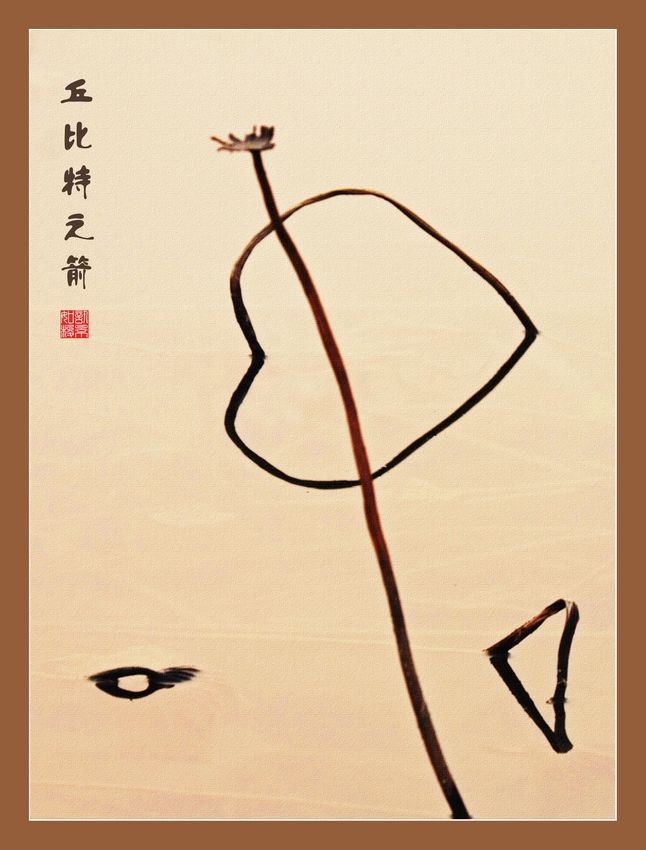画意摄影-----残荷