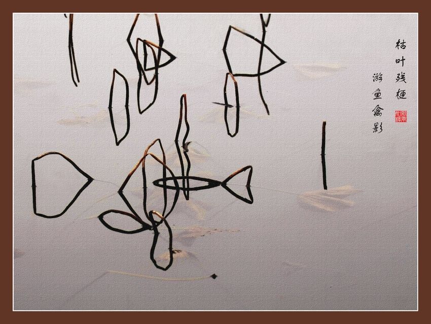 画意摄影-----残荷