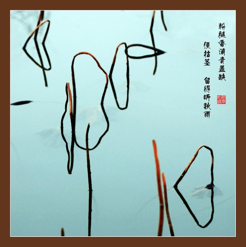 画意摄影-----残荷