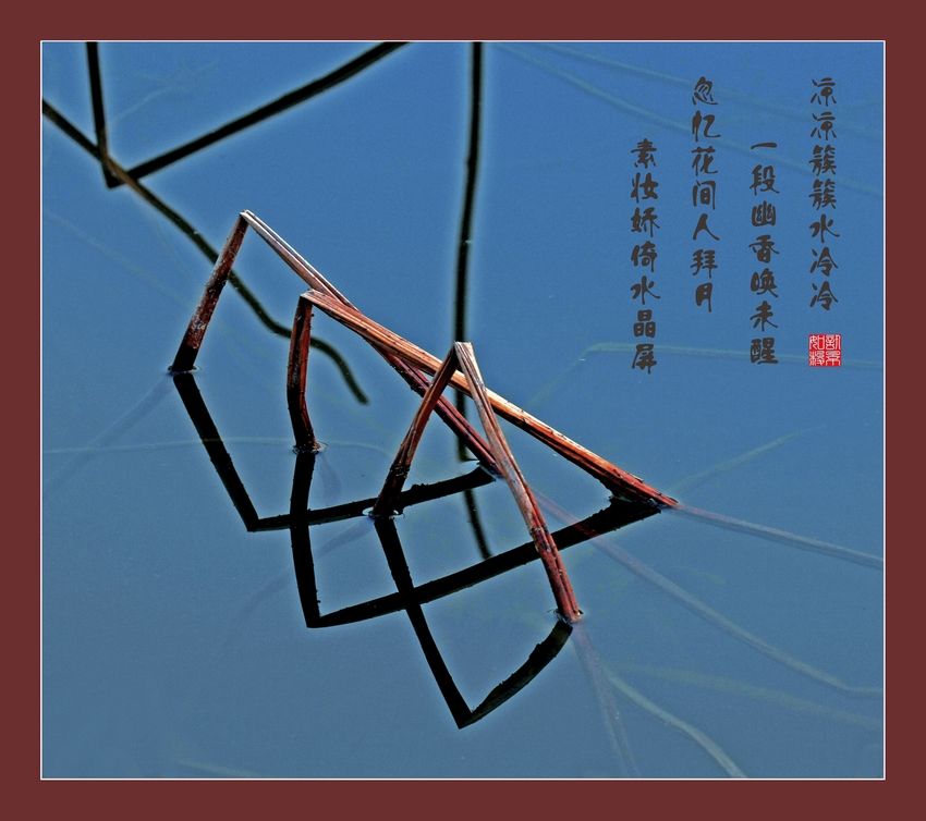 画意摄影-----残荷