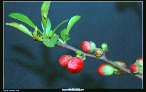 udri8vf4.jpg