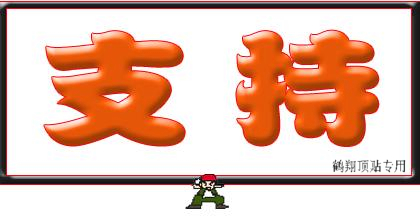 滑县道口镇火神古庙会纪实