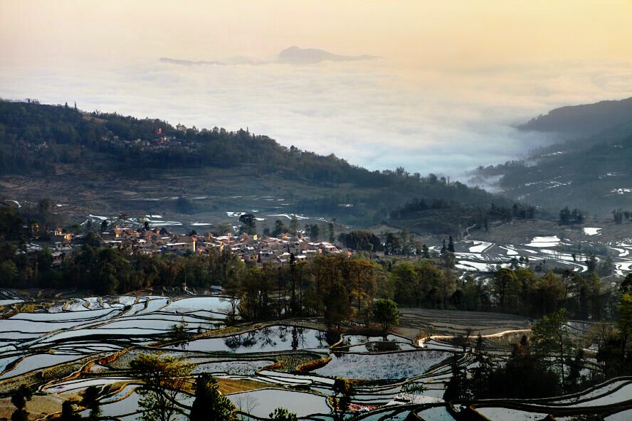 元阳梯田（组）