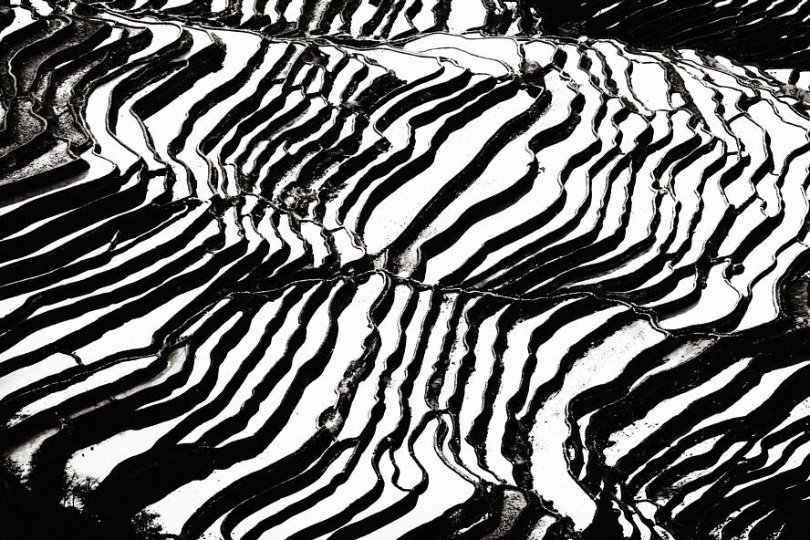 元阳梯田（组）