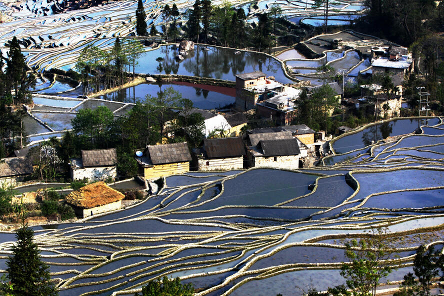 元阳梯田（组2）