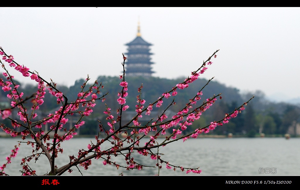 江南散记－－外出学习时的几张小片
