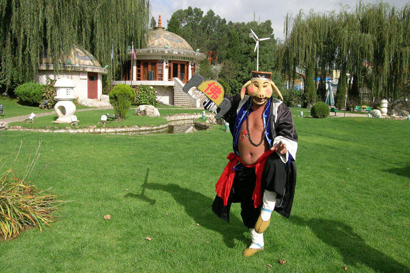 世博园艺倾世人（云南采风之六）