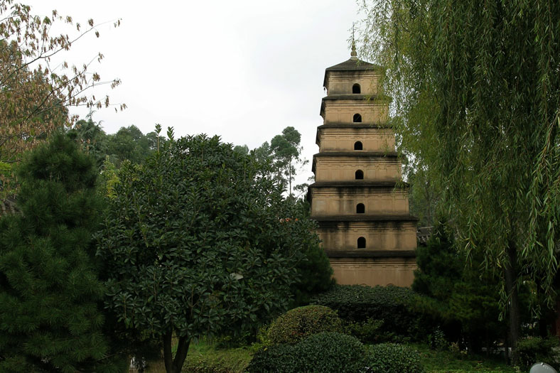 世博园艺倾世人（云南采风之六）