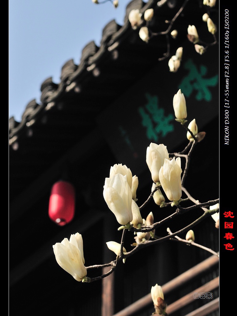 江南散记－－外出学习时的几张小片