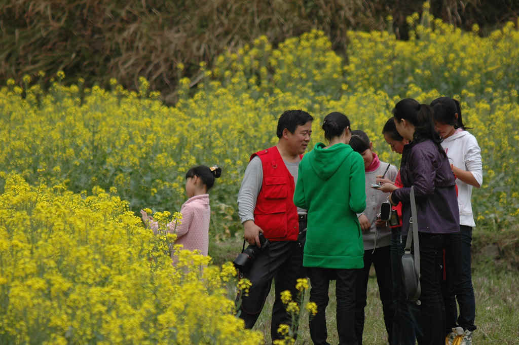石油摄影人婺源行花絮