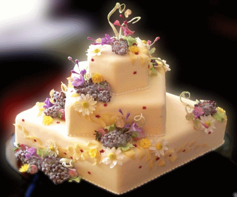 祝VIP会员钟爱一生生日快乐