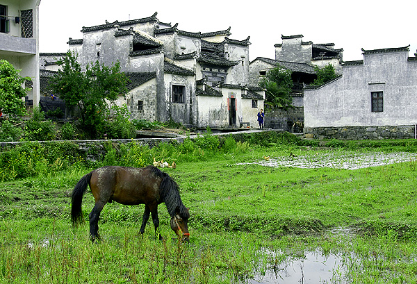早春