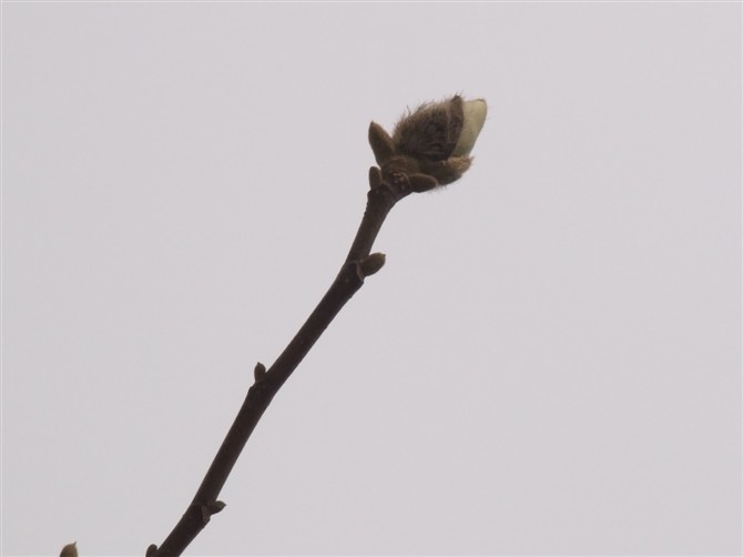 3月