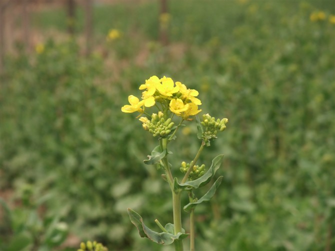 3月