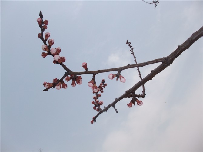3月