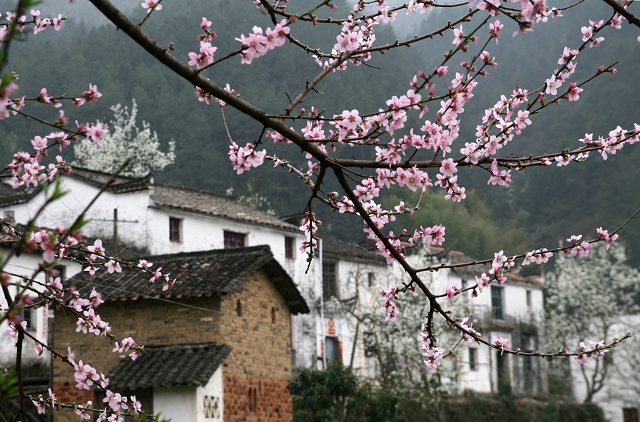 又下江南