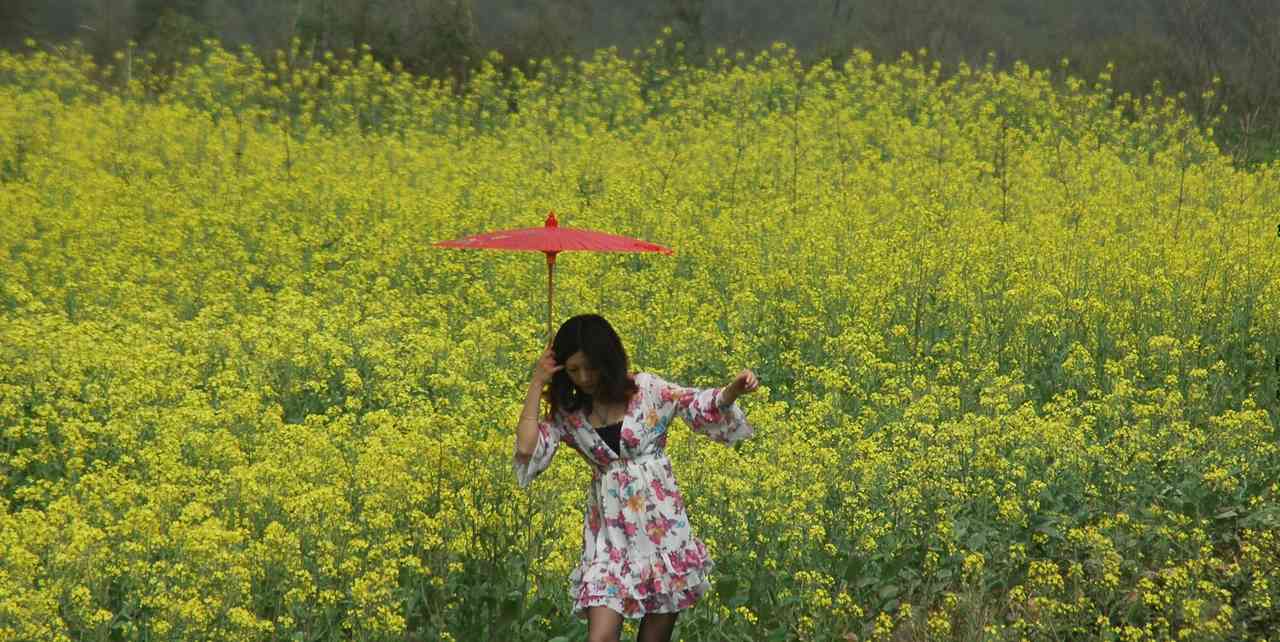 花仙子