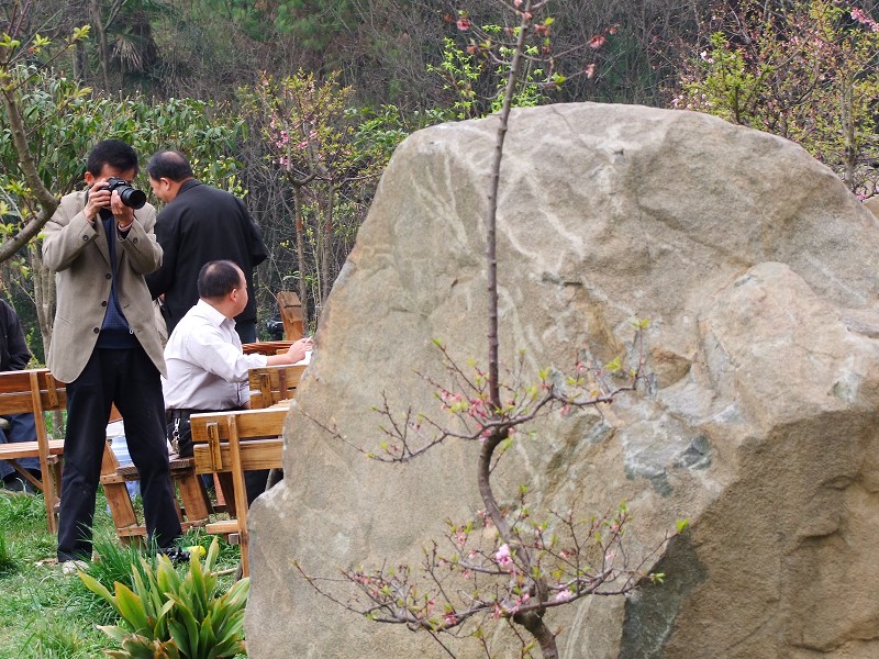 在那油菜花盛开的地方————汉中  汉中