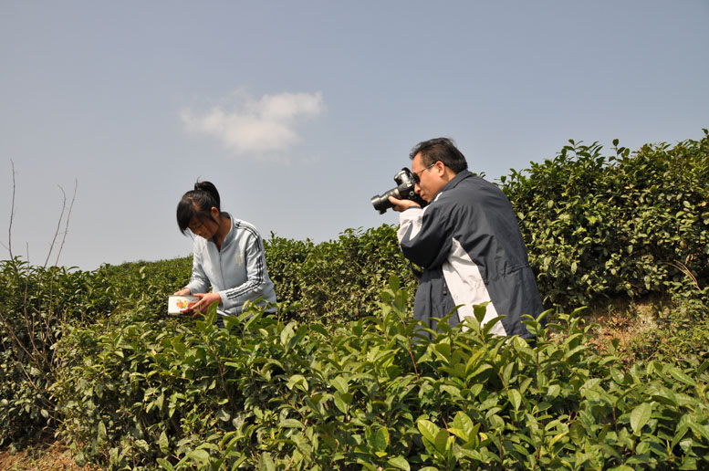 在那油菜花盛开的地方————汉中  汉中