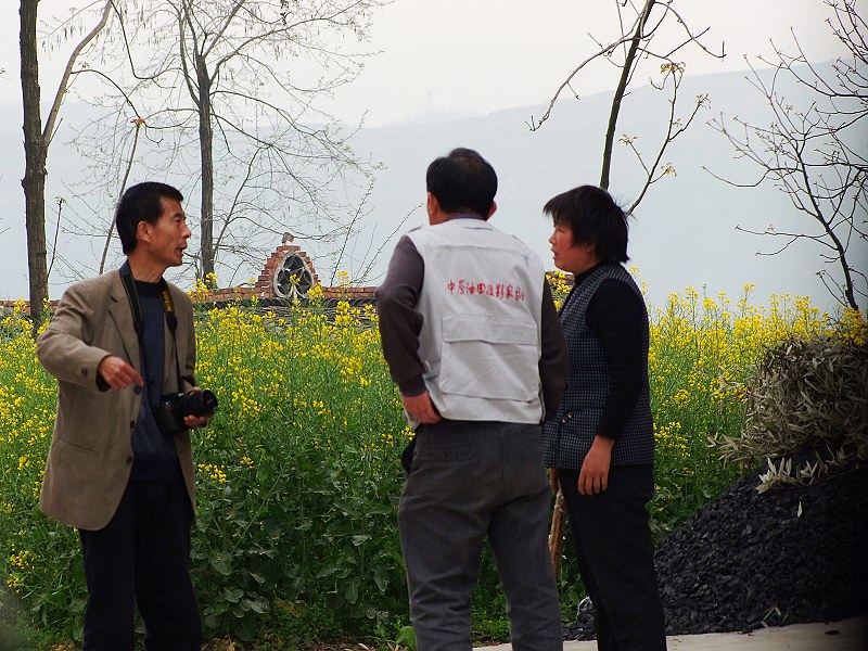 在那油菜花盛开的地方————汉中  汉中