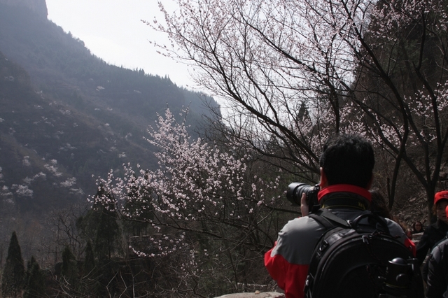 桃花谷 郭亮村采风纪实