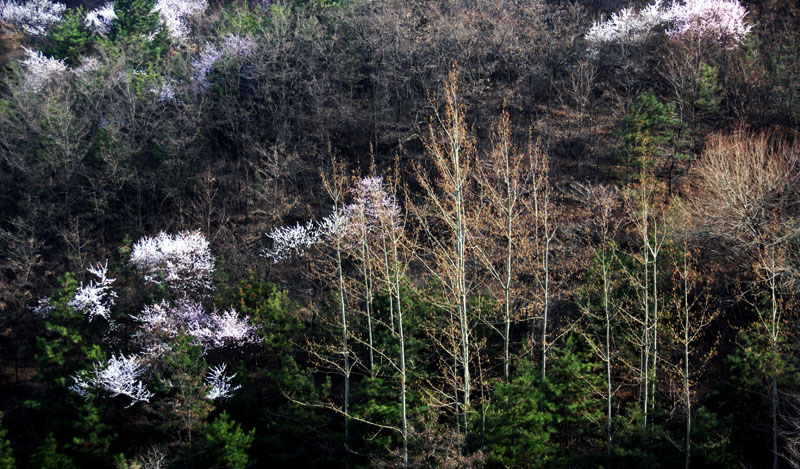 秋沟春色
