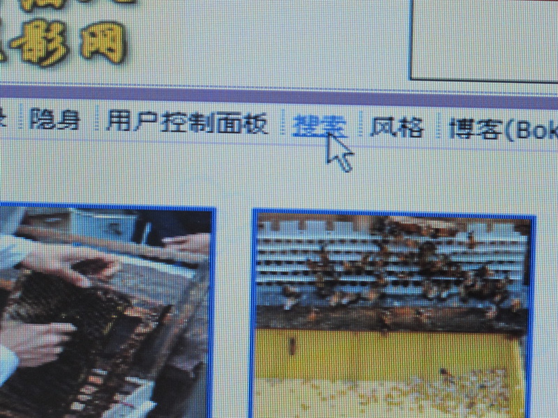 一点建议