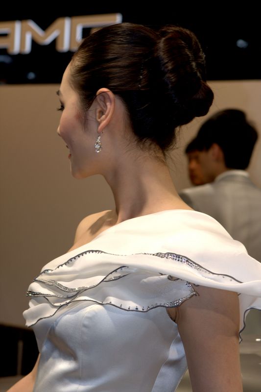 2010北京国际车展