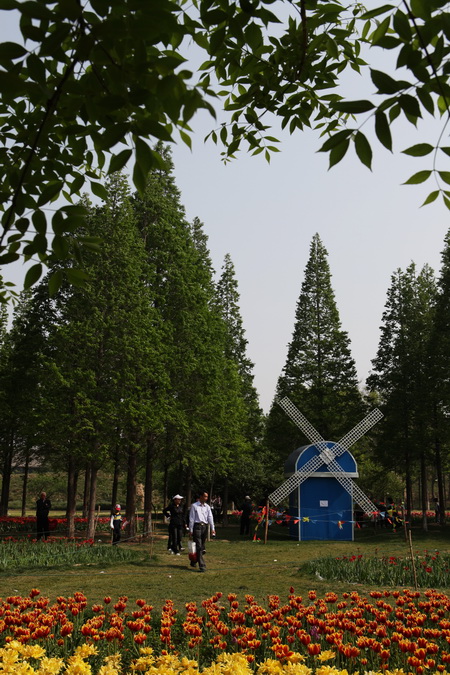 戚城小景