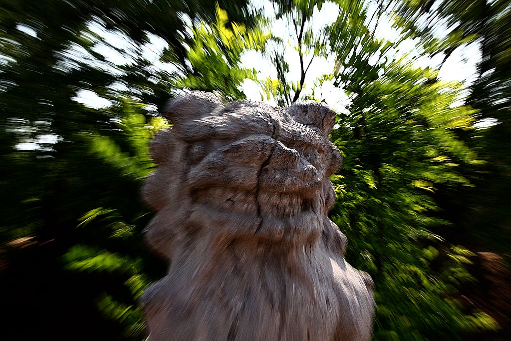 河北献县  善桥上的  狮子